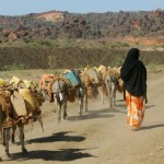 mandera