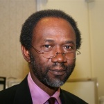 Prof. femi-portrait-1