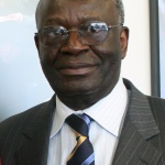 Ibrahim_Gambari,_UNDP-USA-159HR-09_crop