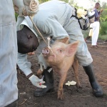 8700960877_18bf2f5af5_z