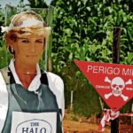 Figure 2 – Princess Diana – African Princess takes on the Weapons of Mass destruction