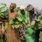 family farmers