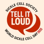 2025 wscd logo