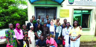 US-Nigeria Workshop Explores Cassava Waste-to-Energy