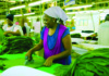Fine Spinners Invests US$5M in Machinery to Drive Pan-African Expansion