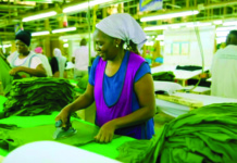 Fine Spinners Invests US$5M in Machinery to Drive Pan-African Expansion